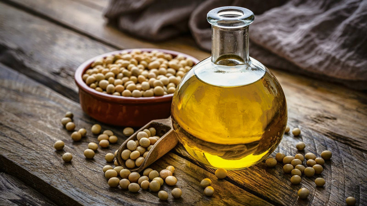 Glass bottle of golden oil with a bowl and wooden scoop of soybeans on a rustic wooden table, illustrating seed oils